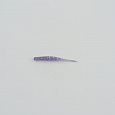 фотография товара Виброхвост FISHER BAITS Twig 30мм цвет 05 (уп. 20шт) интернет-магазина Caimanfishing