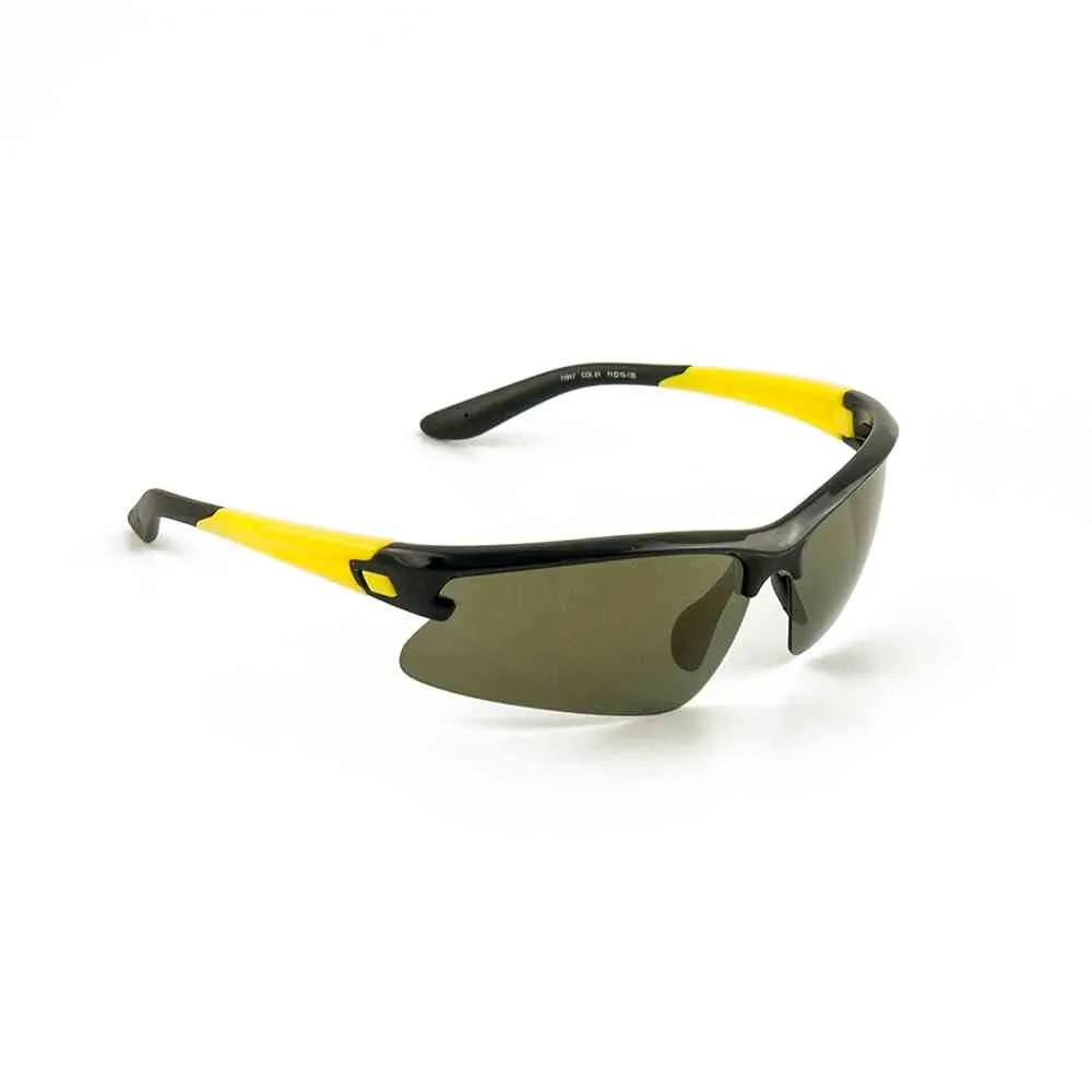 Очки солнцезащитные Flamingo модель 11917 цвет С1