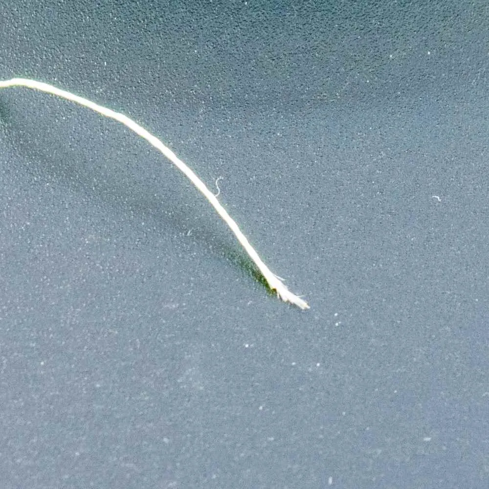 Шнур Caiman Lumen 100м 0,16мм зеленый