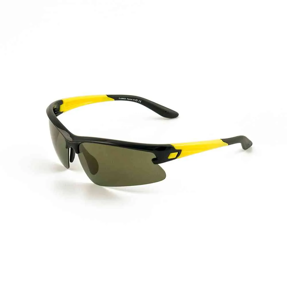 Очки солнцезащитные Flamingo модель 11917 цвет С1