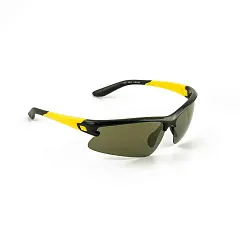 Очки солнцезащитные Flamingo модель 11917 цвет С1