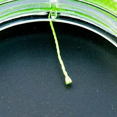 Шнур Caiman Lumen 100м 0,30мм зеленый