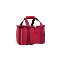 Сумка Акубенс АК3153Г холодильник