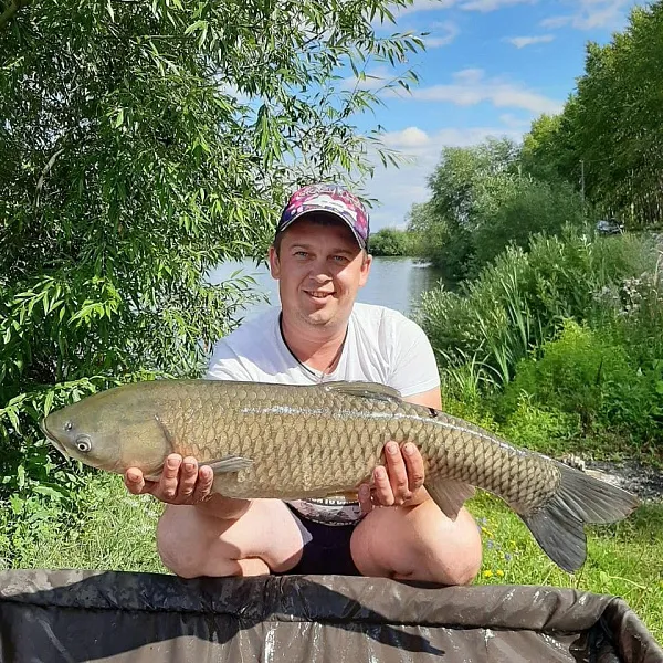 Трофейный карп!