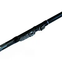 Болонские Болонские