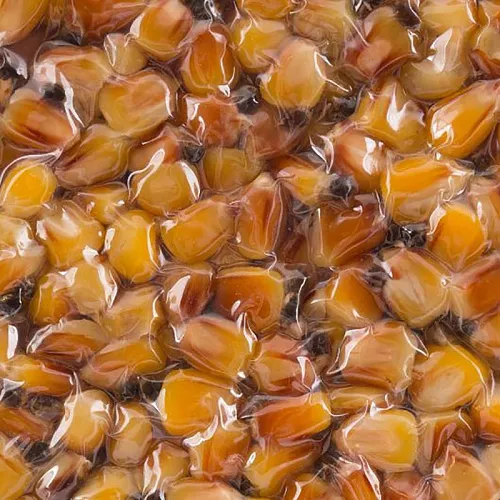 Зерновая смесь GBS №1 Фасовка 2 кг (Кукуруза, конопля) (5 шт. в упак)