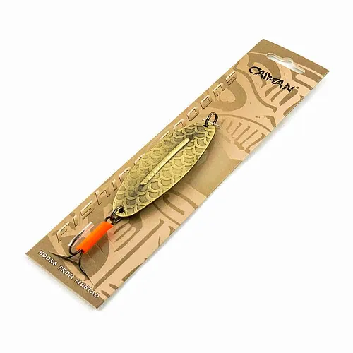 Блесна колеблющаяся Caiman Long Board 25гр 10см цвет CN04 (5шт в упак.)