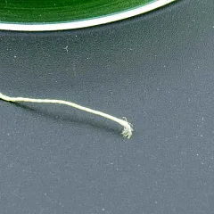 Шнур Caiman Lumen 100м 0,20мм зеленый