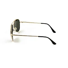 Очки солнцезащитные Flamingo модель 12588 цвет С2