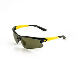 Очки солнцезащитные Flamingo модель 11917 цвет С1