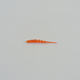 фотография товара Виброхвост FISHER BAITS Twig 30мм цвет 01 (уп. 20шт) интернет-магазина Caimanfishing